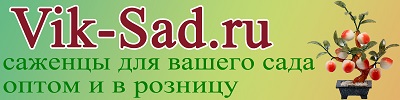 Интернет магазин VIK-SAD.RU