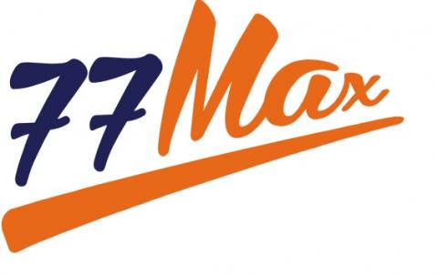 Автозапчасти 77Max