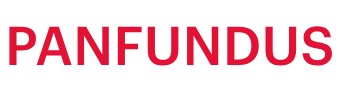 Panfundus